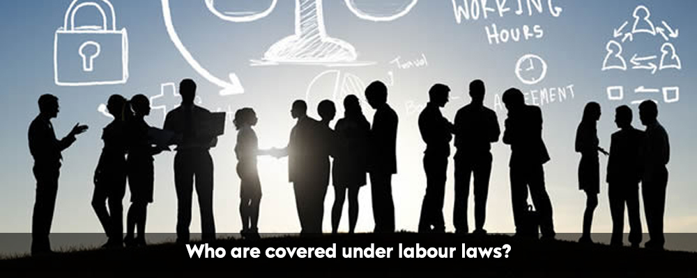 Who are covered under labour laws?